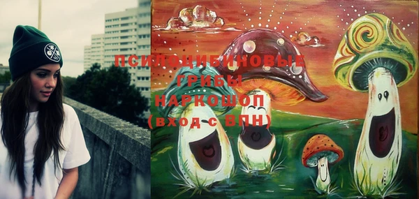PSILOCYBIN Арсеньев