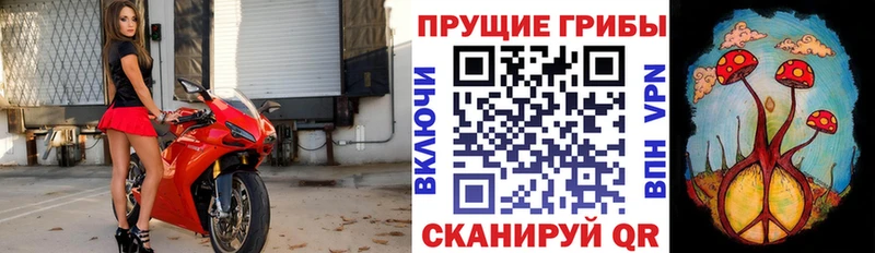 Псилоцибиновые грибы прущие грибы  Таштагол 